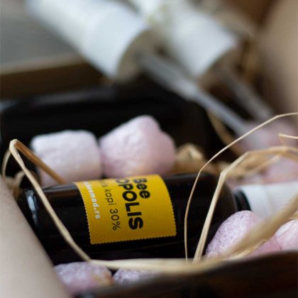 first-aid-kit-bee-propolis-zdravko-bee-mad-(1)