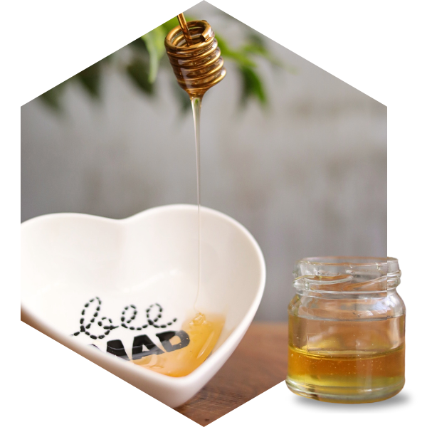 Med i pčelinji proizvodi
