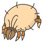 bee mad varoa pcele