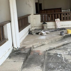 bee mad pcela na putu safari u keniji diani beach (1)