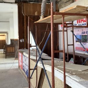 bee mad pcela na putu safari u keniji diani beach (3)