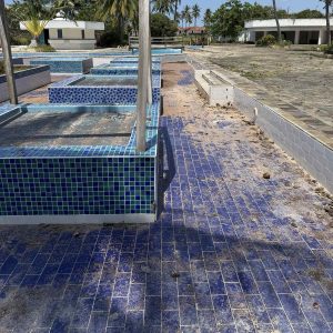 bee mad pcela na putu safari u keniji diani beach (4)