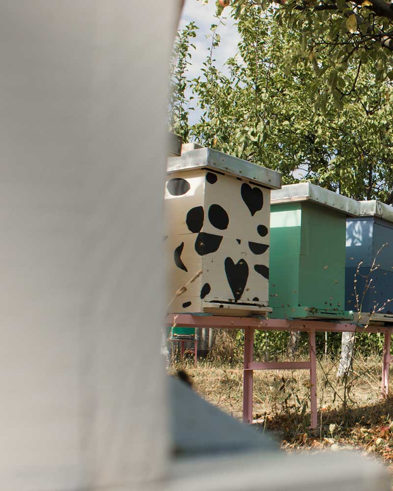 Bee Mad prirodan med i pčelinji proizvodi